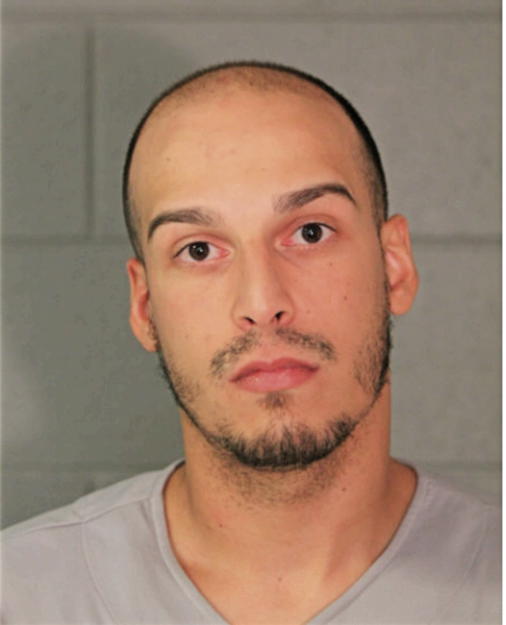 GEORGE M FIERRO, Cook County, Illinois