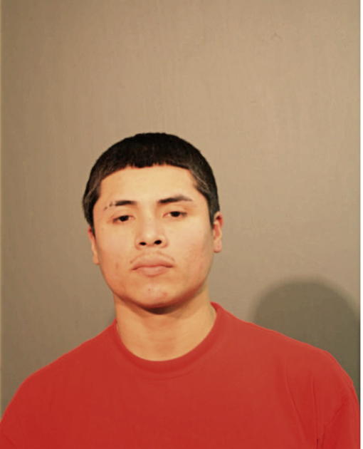 ADAN HERNANDEZ, Cook County, Illinois