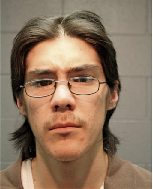 JOHN S HERNANDEZ, Cook County, Illinois