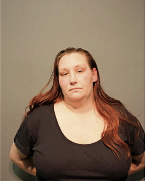 CHANI L HOLLISTER, Cook County, Illinois