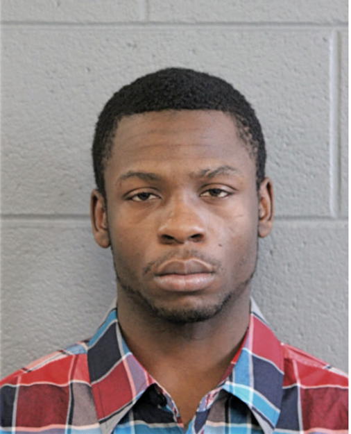 JIMMY L JOHNSON, Cook County, Illinois