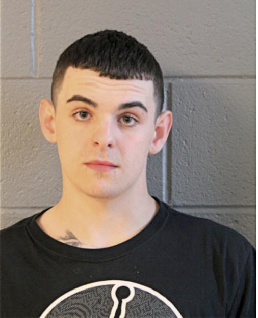 LUKASZ KOZIENSKA, Cook County, Illinois