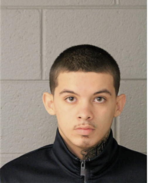 ALEXIS NAVEJA, Cook County, Illinois