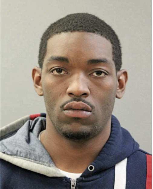 KENNETH R NELSON, Cook County, Illinois