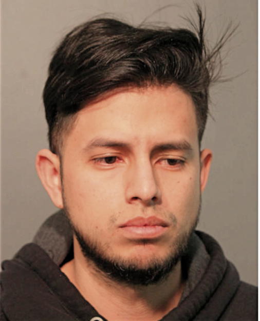 MARCO ANTONIO OCHOA-ARCENTALES, Cook County, Illinois