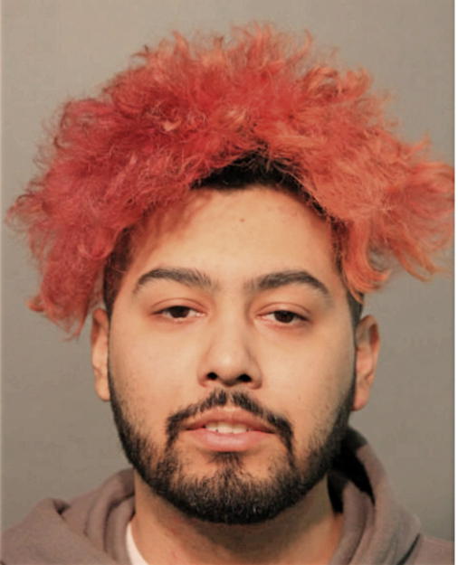 STEPHEN E PONCE, Cook County, Illinois