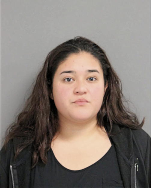 DELFINA L RODRIGUEZ, Cook County, Illinois