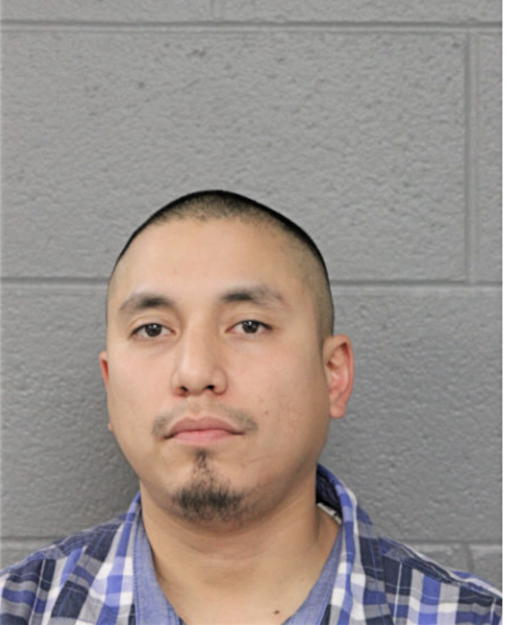ADONIS J SALGADO, Cook County, Illinois