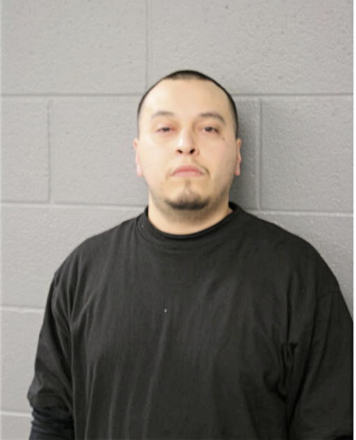 NOEL SANCHEZ, Cook County, Illinois