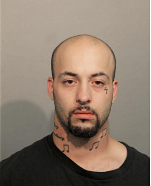 NINOS G SHABANDAR, Cook County, Illinois