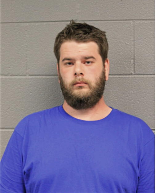 JAMES A ABRAMS, Cook County, Illinois