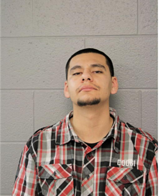 CRISTIAN A ALCANTAR, Cook County, Illinois