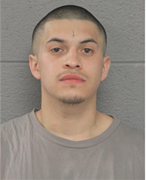 ALEXIS ANDRADE, Cook County, Illinois
