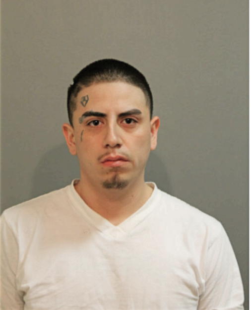 MANUEL DIAZ, Cook County, Illinois
