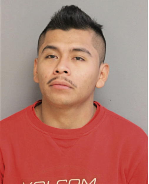 NEFTALI FELIPE ESTRADA, Cook County, Illinois