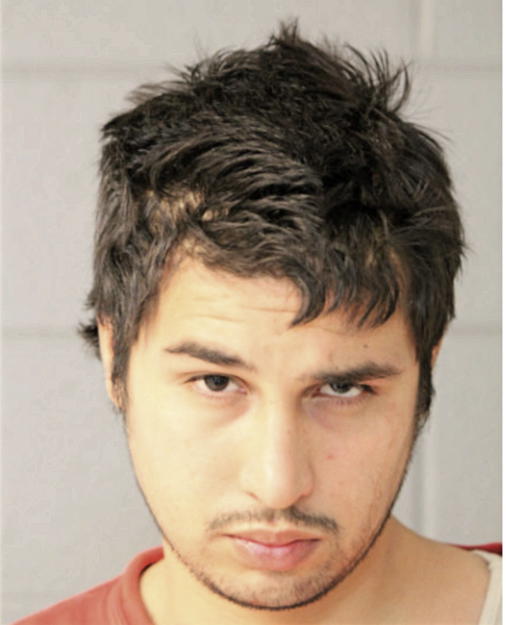 VICENTE FERNANDEZ, Cook County, Illinois