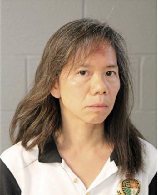 ELLEN FONG, Cook County, Illinois