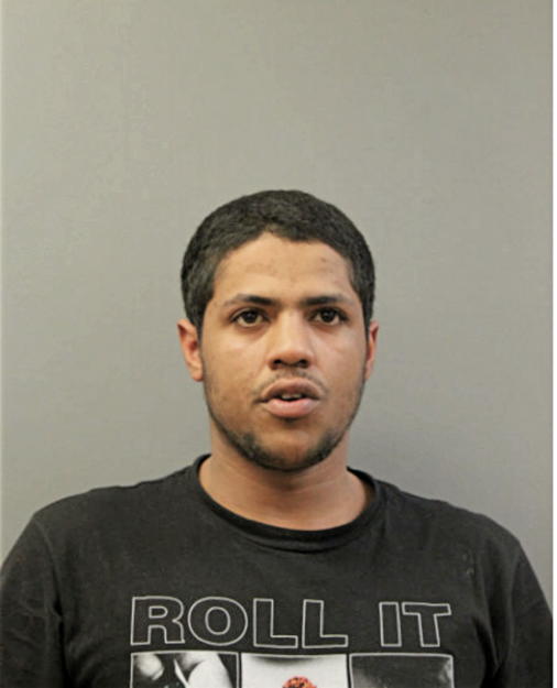TOREY M JONES, Cook County, Illinois