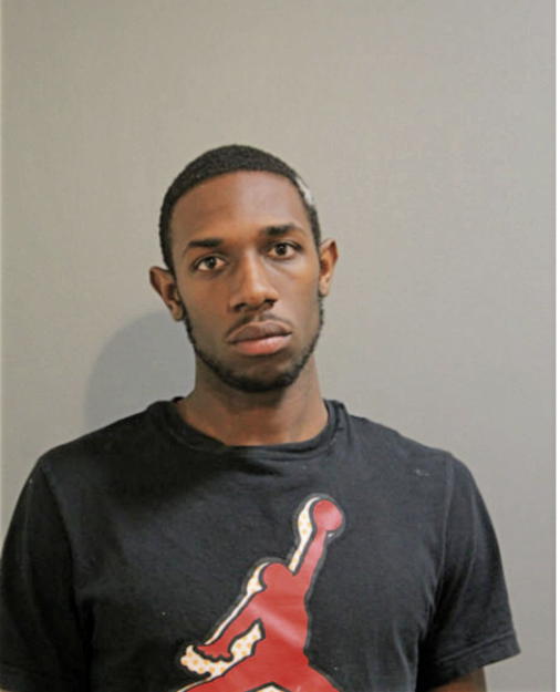 RAFEREZ L LAFI, Cook County, Illinois