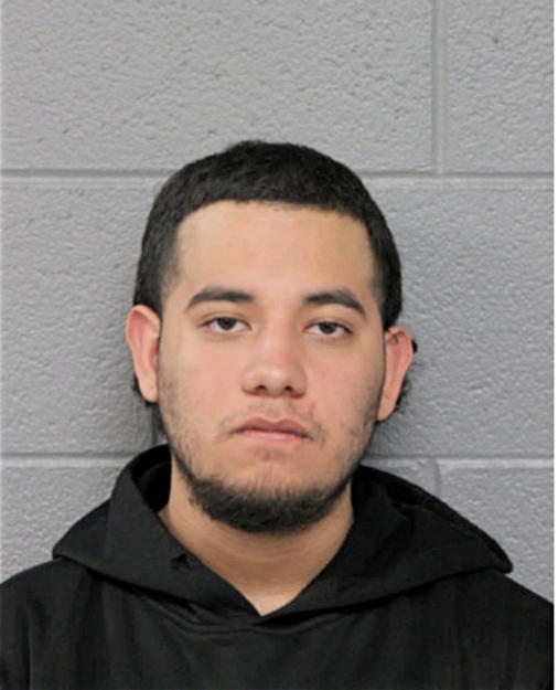 MAURICIO LEON, Cook County, Illinois