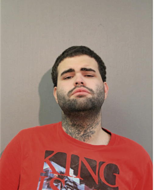 JONATHAN J MARTINEZ, Cook County, Illinois