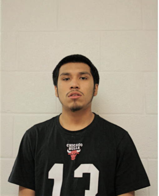 NELSON MENDOZA, Cook County, Illinois