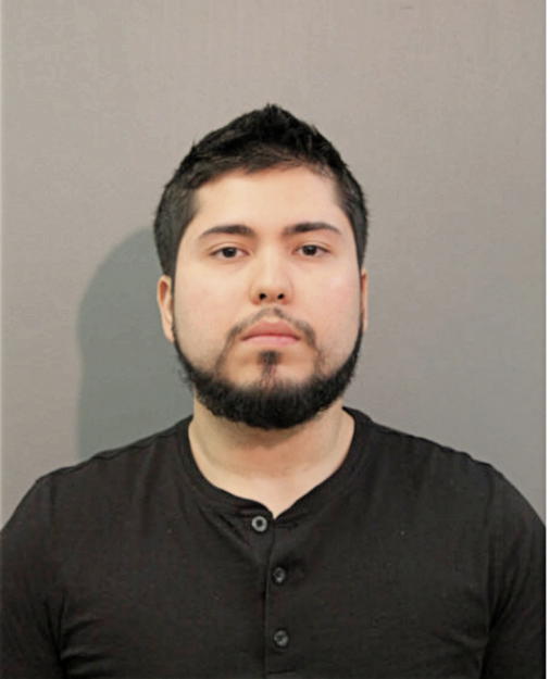 DAVID PEREZ, Cook County, Illinois