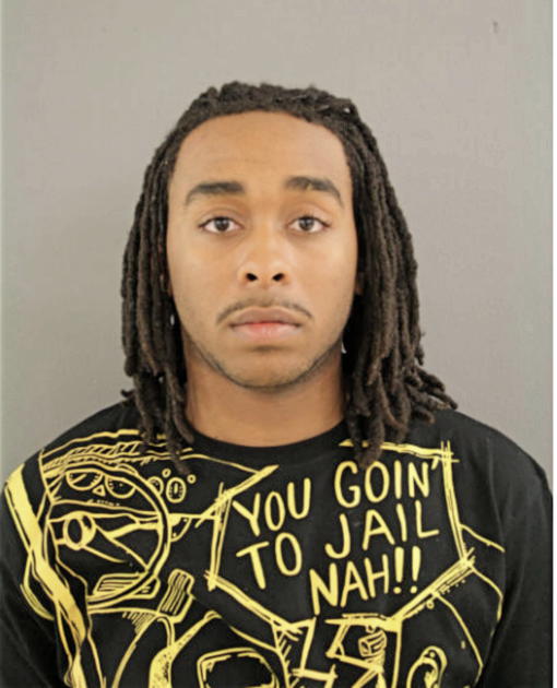 MICHAEL S RICHARDSON, Cook County, Illinois