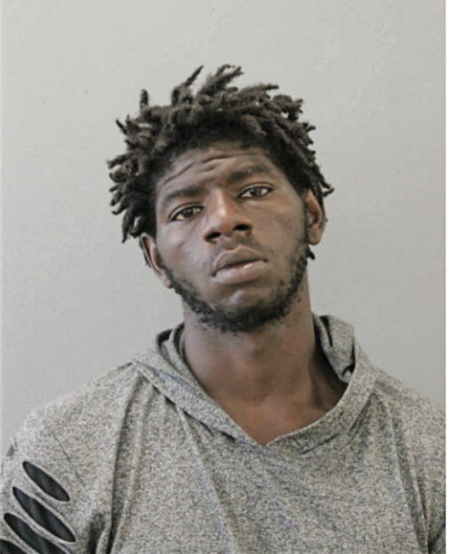 CHRISTOPHER D ROSS, Cook County, Illinois