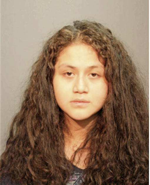 RAQUEL N VARGAS, Cook County, Illinois