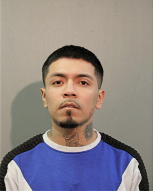 BRYANT VEGA, Cook County, Illinois
