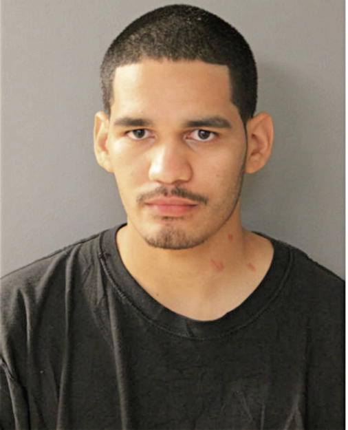 MANUEL L VILLA, Cook County, Illinois