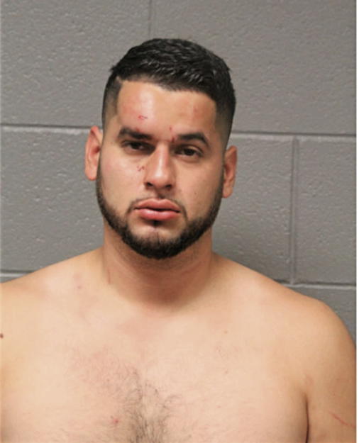 MARIO VILLEGAS, Cook County, Illinois