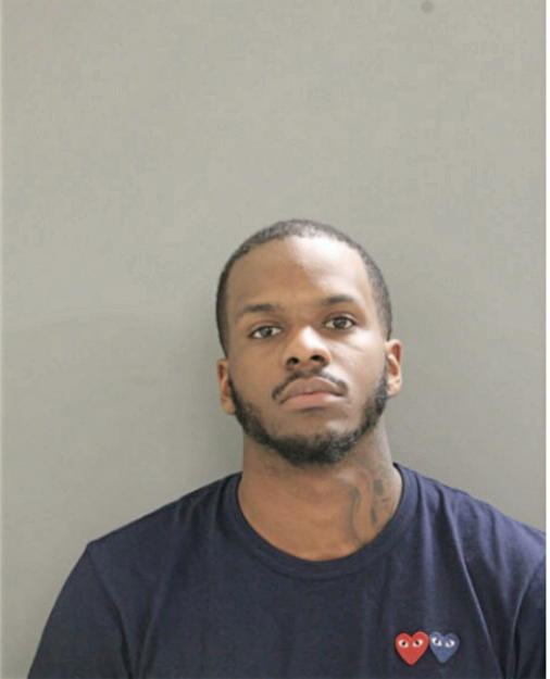 REGINALD A WILLIAMS, Cook County, Illinois