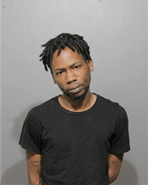 TYREESE B ANDERSON, Cook County, Illinois