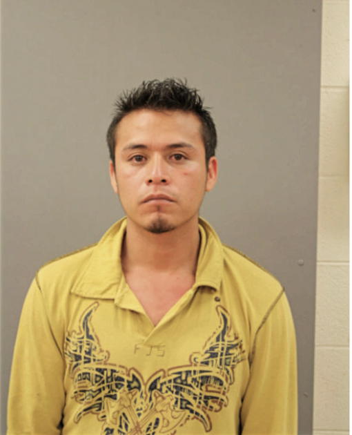 JOSE BAHENA, Cook County, Illinois