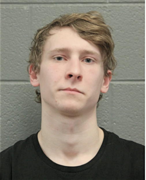 ANDREW P BUJDASZ, Cook County, Illinois