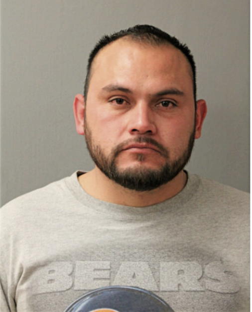 ALFONSO DEGANTE-BAHENA, Cook County, Illinois