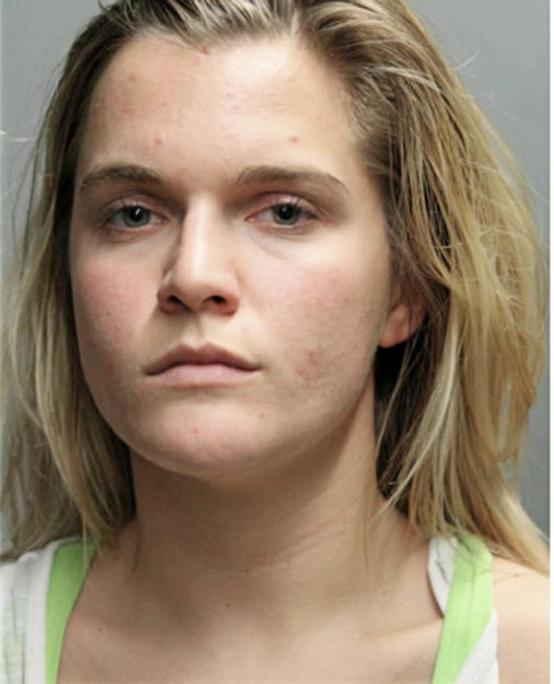ALEXANDRIA CHRISTINE DINSER, Cook County, Illinois