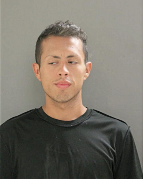 VITO D FAVELA, Cook County, Illinois