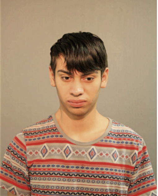 ALEXIS JULIAN GONZALEZ, Cook County, Illinois