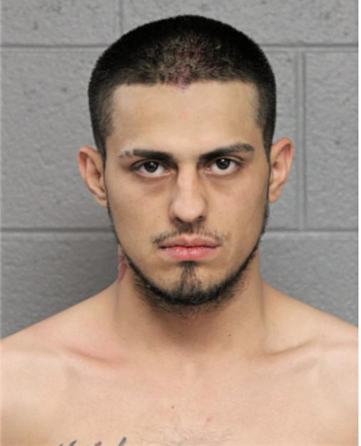 EFFRAIN GONZALEZ, Cook County, Illinois