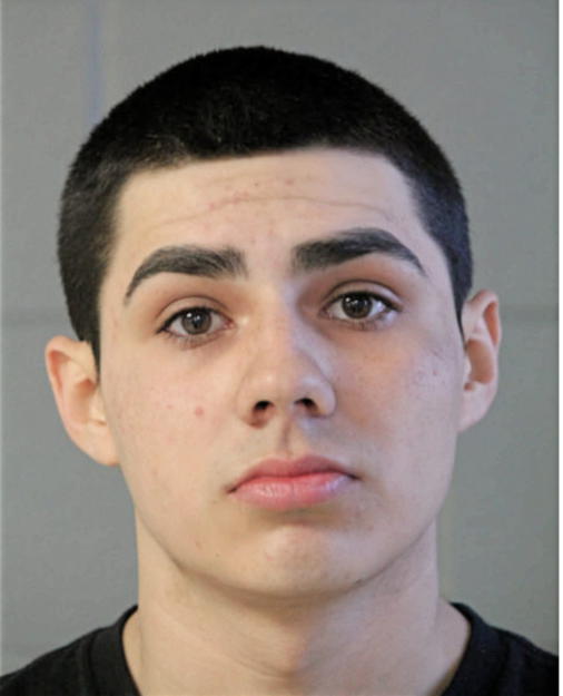 ALEX M HAMIDEH, Cook County, Illinois
