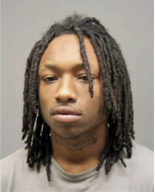 JAMES T JOHNSON, Cook County, Illinois