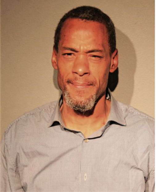 MICHAEL A JOHNSON, Cook County, Illinois