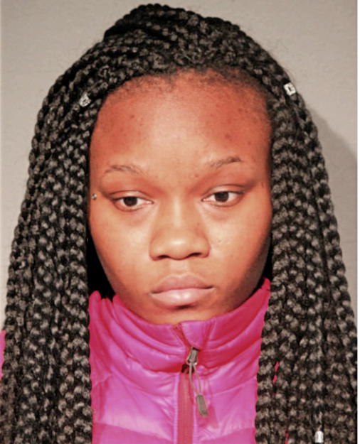 BRIANNA S LINDSEY, Cook County, Illinois