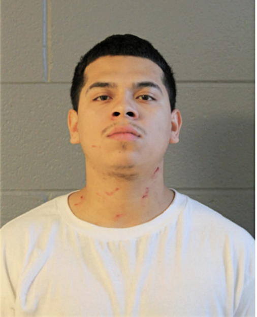 BRIAN MENDOZA, Cook County, Illinois