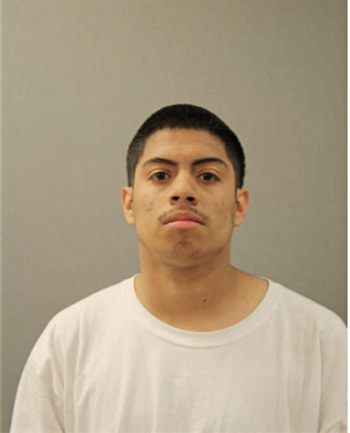 NOEL MENDOZA, Cook County, Illinois