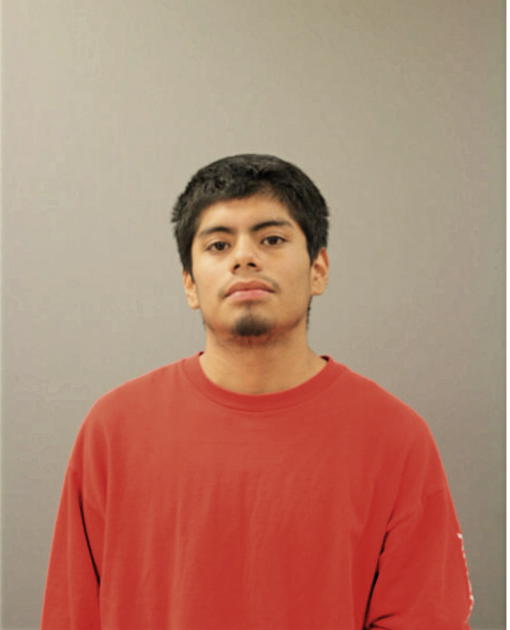 ALEJANDRO PERALTA, Cook County, Illinois