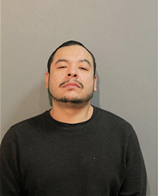 GEROGE E RODRIGUEZ, Cook County, Illinois